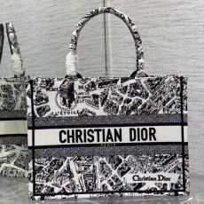 Christian Dior Shopping Bags